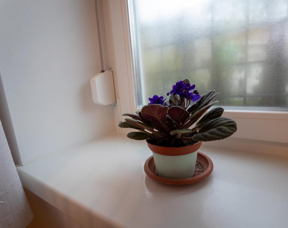 Sunbird Apartman Budapest Bagian luar foto